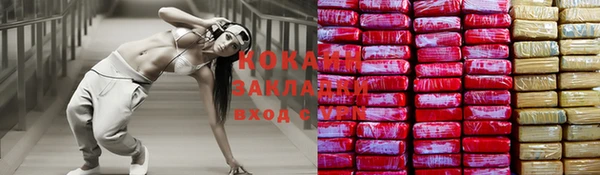 шишки Богородицк