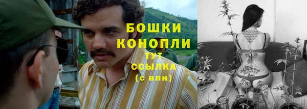 jwh Богданович
