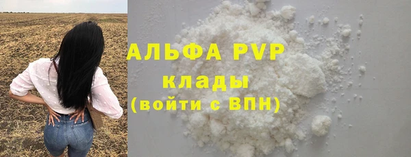 шишки Богородицк