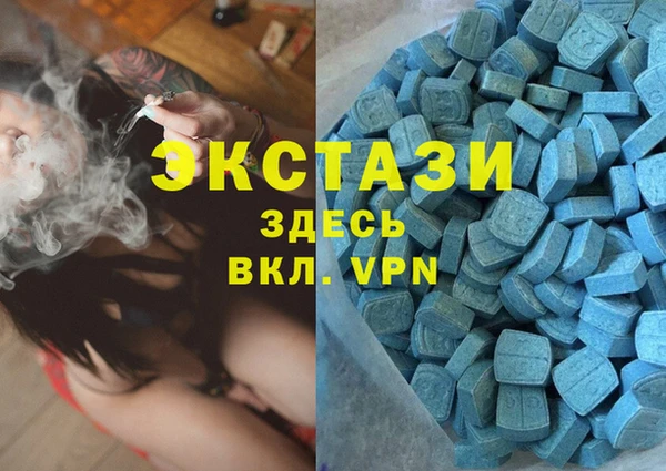 шишки Богородицк