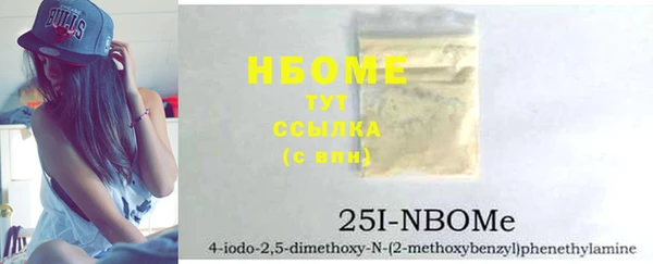шишки Богородицк