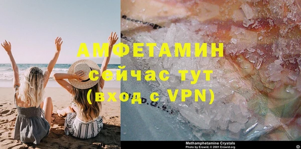 шишки Богородицк