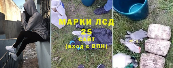 шишки Богородицк