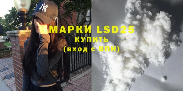 шишки Богородицк