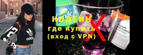 шишки Богородицк
