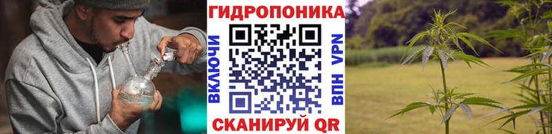 Канабис конопля Неман